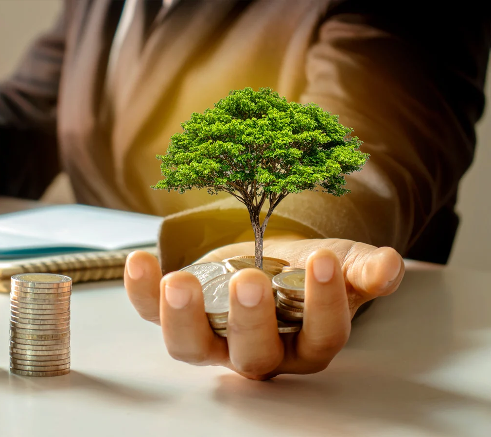 portfolio management services